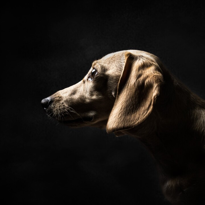 Winston